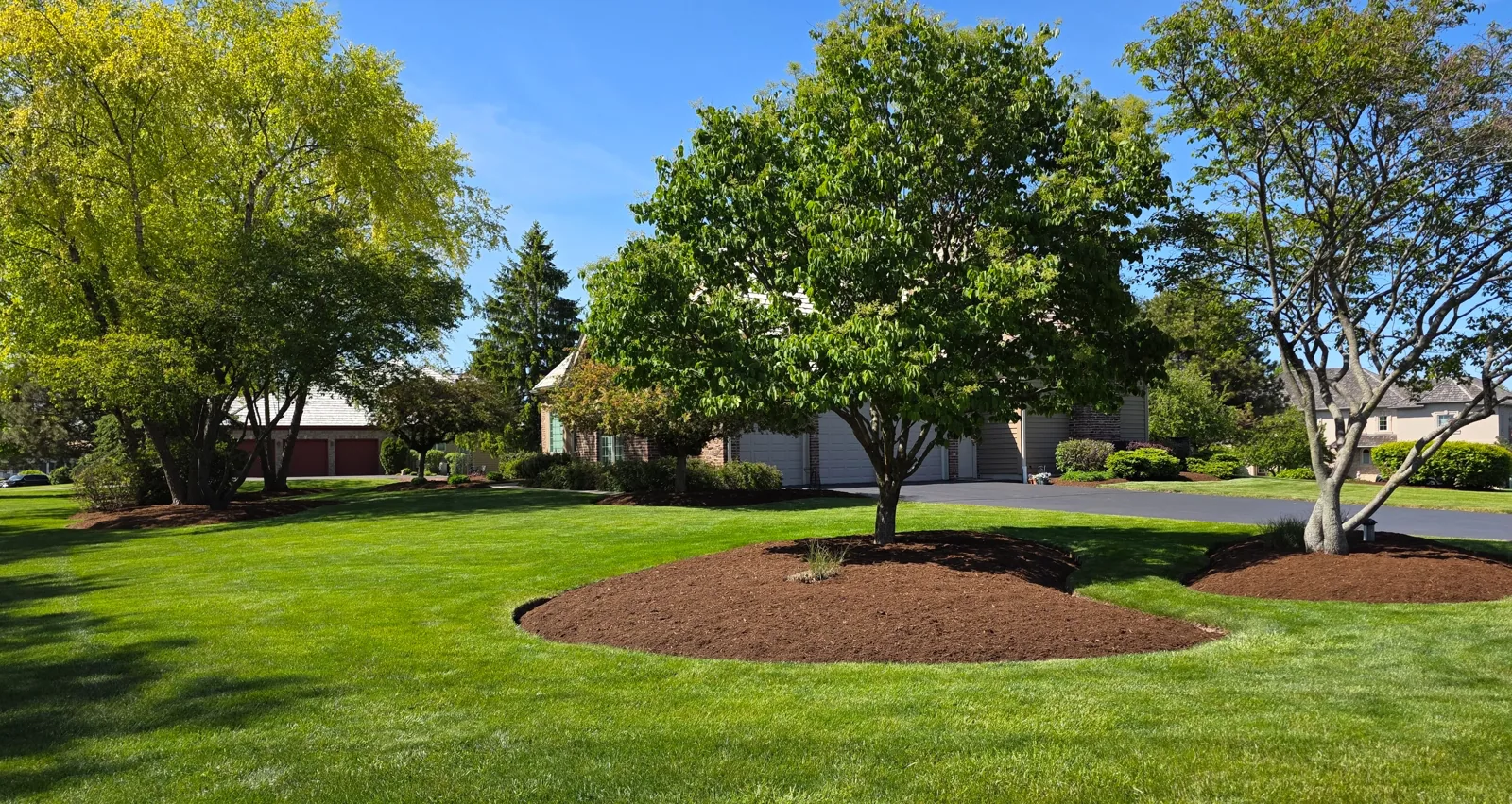 Landscape Design & Installation project 1