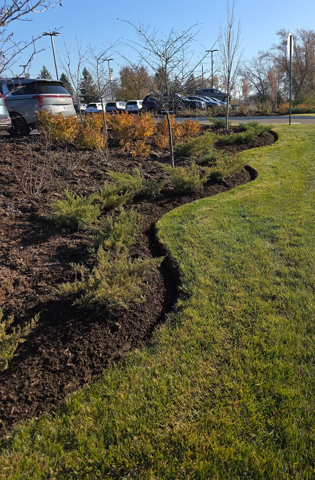 Landscape Design & Installation project 3